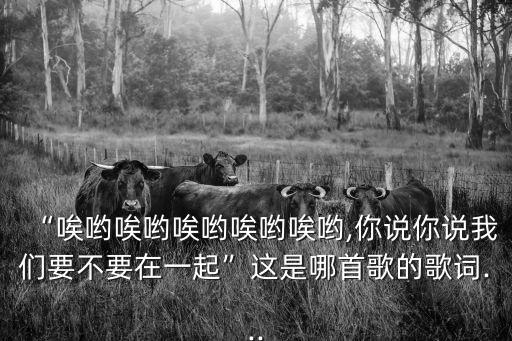 “唉喲唉喲唉喲唉喲唉喲,你說你說我們要不要在一起”這是哪首歌的歌詞...