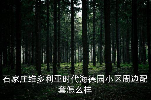 裕華區(qū)政府,郭鵬石家莊裕華區(qū)政府