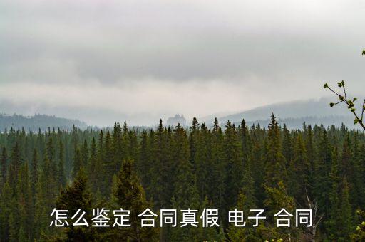 怎么鑒定 合同真假 電子 合同