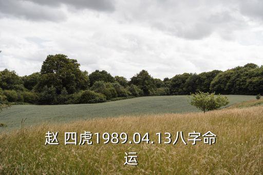 趙 四虎1989.04.13八字命運