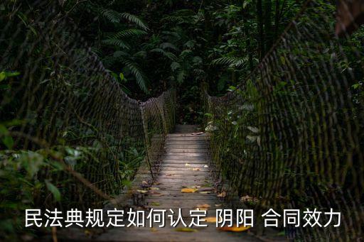 什么是陰陽合同法律認可嗎