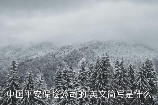 中國平安保險公司的 英文簡寫是什么