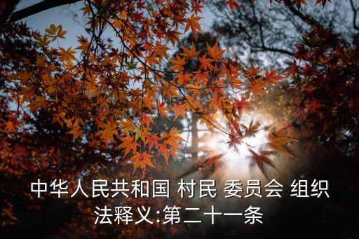 中華人民共和國 村民 委員會 組織法釋義:第二十一條