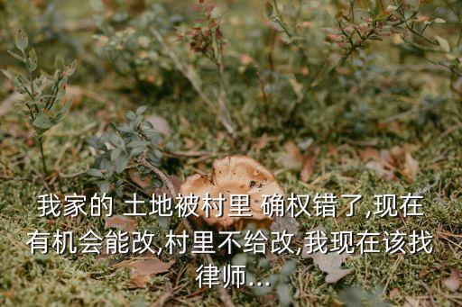 土地確權(quán)律師,農(nóng)村宅基地法律咨詢律師