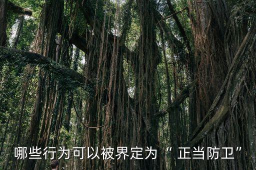 正當(dāng)防衛(wèi)5,劉大大解說正當(dāng)防衛(wèi)5