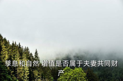 孳息和自然 增值是否屬于夫妻共同財(cái)產(chǎn)