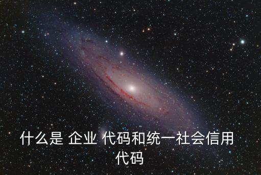 企業(yè)代碼