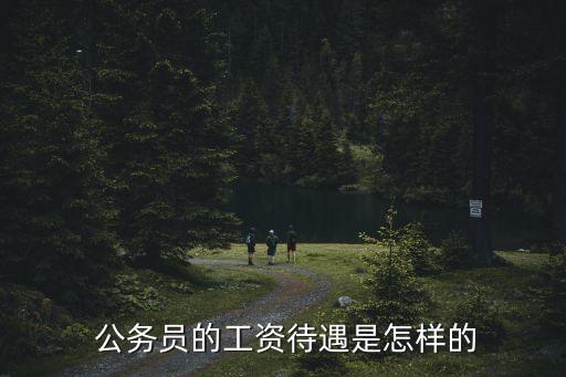  公務(wù)員的工資待遇是怎樣的