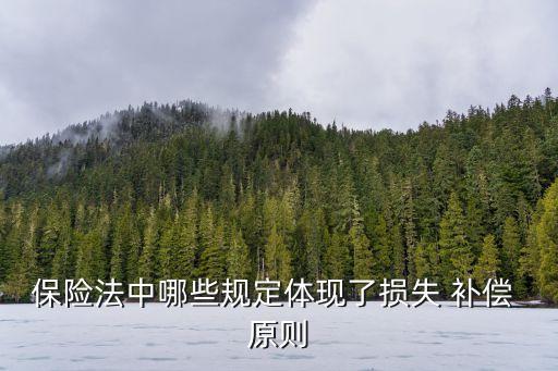 補償原則,保險損失補償原則