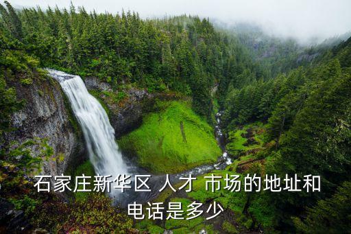 石家莊人才市場