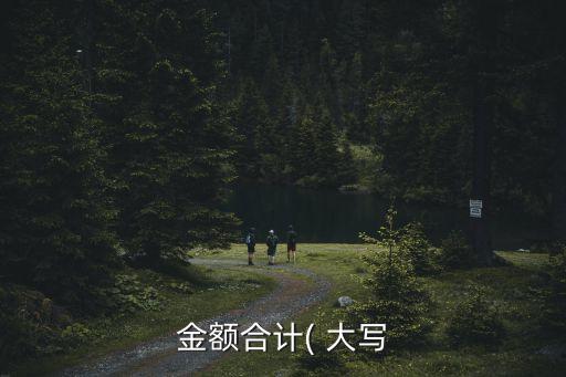 金額合計( 大寫