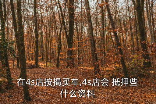 在4s店按揭買車,4s店會 抵押些什么資料
