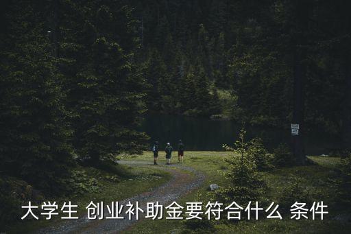 大學(xué)生 創(chuàng)業(yè)補助金要符合什么 條件