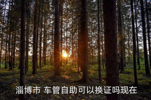  淄博市 車管自助可以換證嗎現(xiàn)在