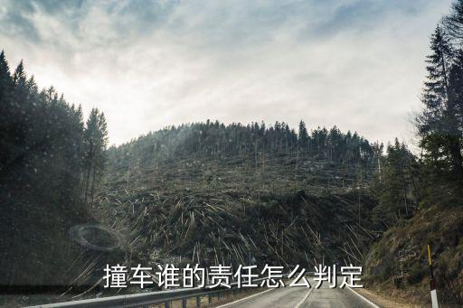 撞撞車