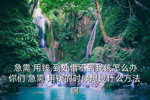  急需 用錢,到處借不到我該怎么辦你們 急需 用錢的時(shí)候想過(guò)什么方法啊