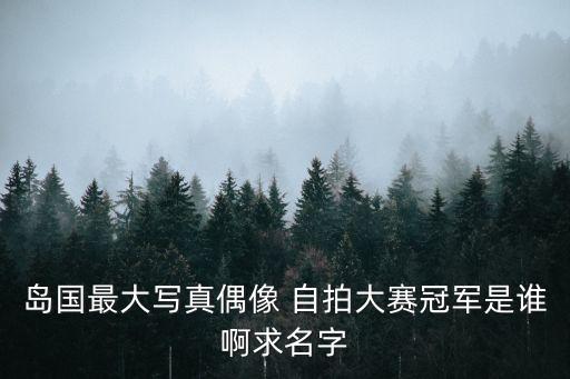 島國(guó)最大寫(xiě)真偶像 自拍大賽冠軍是誰(shuí)啊求名字