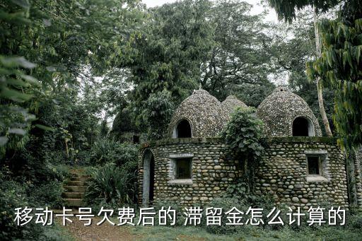 移動卡號欠費后的 滯留金怎么計算的