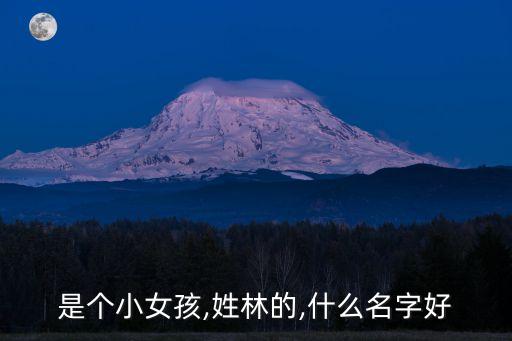 是個(gè)小女孩,姓林的,什么名字好