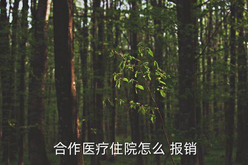 合作醫(yī)療報銷流程,2023年農(nóng)村合作醫(yī)療報銷流程