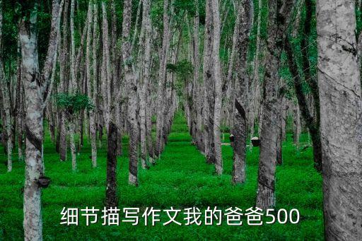 細節(jié)描寫作文我的爸爸500