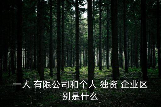 個(gè)人獨(dú)資企業(yè)和有限公司的區(qū)別,開公司好還是個(gè)體戶好