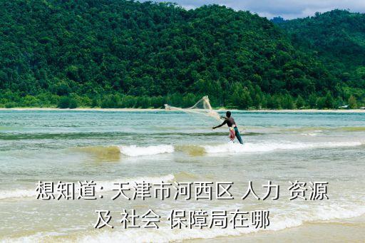 想知道: 天津市河西區(qū) 人力 資源及 社會 保障局在哪