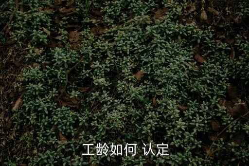  工齡如何 認定