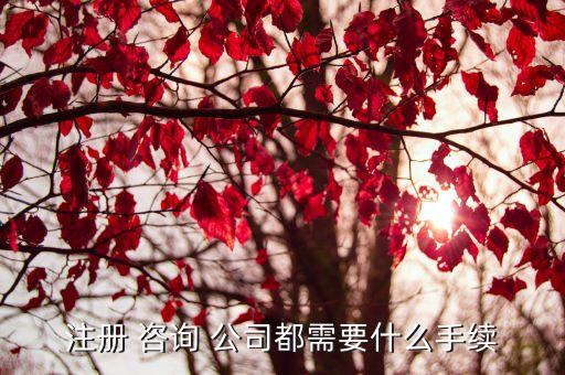 成立一個(gè)法律咨詢公司,開一家法律咨詢公司怎么樣