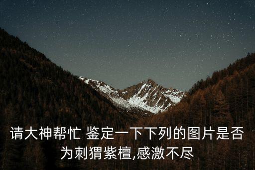 請大神幫忙 鑒定一下下列的圖片是否為刺猬紫檀,感激不盡