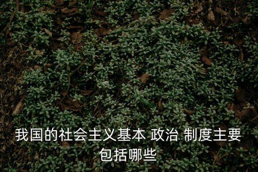 我國的社會主義基本 政治 制度主要包括哪些