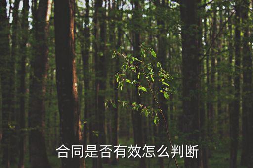怎樣辨別合同的合法性,合同專用章的真假怎樣辨別