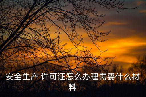 安全許可證