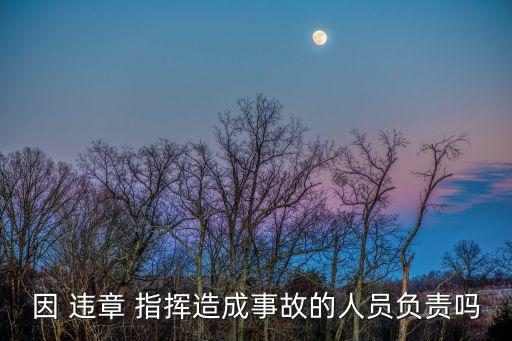違章指揮