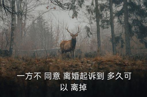  一方不 同意 離婚起訴到 多久可以 離掉
