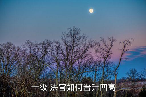 一級高級法官