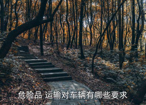 特種運(yùn)輸,歐卡2特種運(yùn)輸