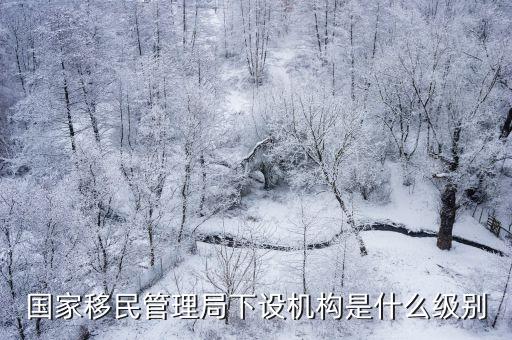 國家移民管理局下設機構是什么級別