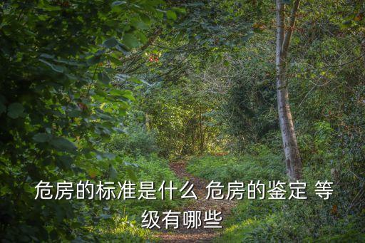  危房的標(biāo)準(zhǔn)是什么 危房的鑒定 等級有哪些