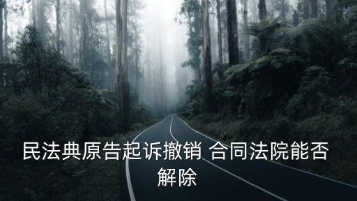 訴訟中合同無效弄成了合同解除