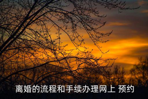  離婚的流程和手續(xù)辦理網(wǎng)上 預(yù)約
