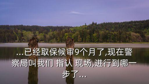 指認現(xiàn)場