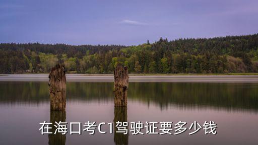 c1報名費多少錢,匯通駕校c1報名費多少錢