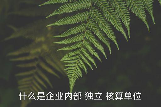 獨(dú)立核算