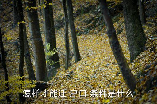 戶口遷移條件,上海市親屬投靠戶口遷移條件
