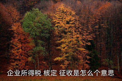 核定征收是什么意思,個(gè)體戶雙核定征收是什么意思