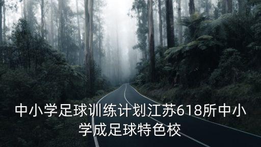 中小學(xué)足球訓(xùn)練計(jì)劃江蘇618所中小學(xué)成足球特色校