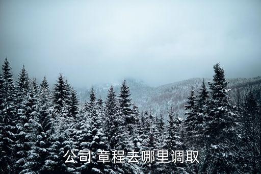 公司章程怎么查,公安局備案的公司章程怎么查