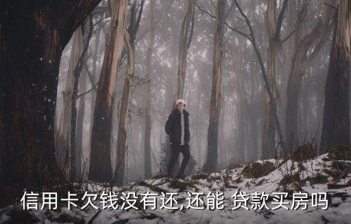 信用卡欠錢沒(méi)有還,還能 貸款買房嗎