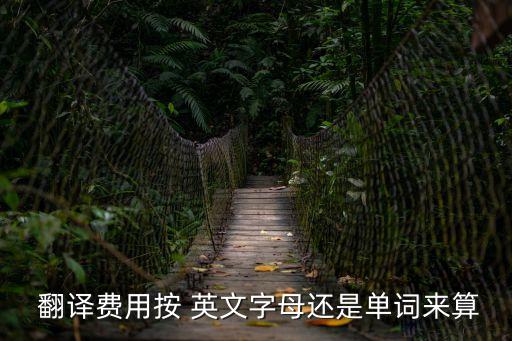  翻譯費(fèi)用按 英文字母還是單詞來算